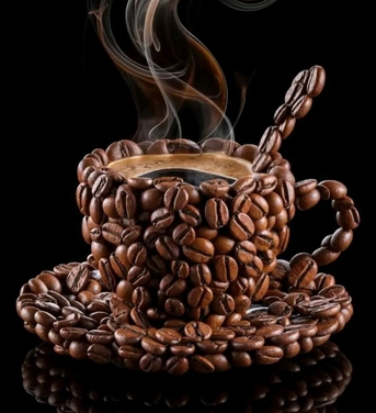 Dammam, Job Seekers, Im Barista Need Job
