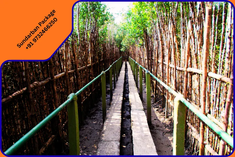 Mumbai, Travel, Book Your Sundarban Wildlife Tour In Sundarban National Park Safari Today!