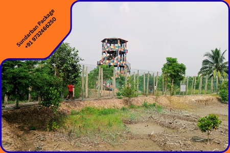Mumbai, Travel, Book Your Sundarban Wildlife Tour In Sundarban National Park Safari Today!