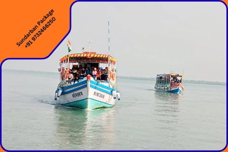 Mumbai, Travel, Book Your Sundarban Wildlife Tour In Sundarban National Park Safari Today!