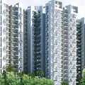 What Is The Total Number Of Flats In Amrapali O2 Valley ,echzone 4 And Across How Many Acr