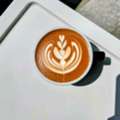 Im Professional Barista Saudi Arabia Need Job Urgent