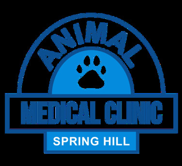 New York, Job Seekers, Animal Medical Clinic Of Spring Hill