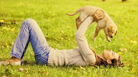 New York, Job Seekers, Animal Medical Clinic Of Spring Hill