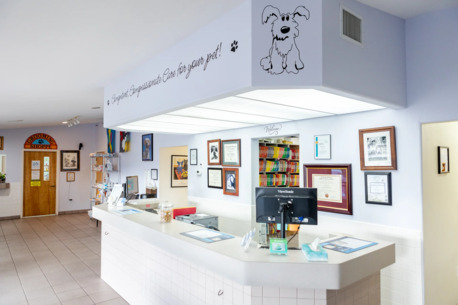 New York, Job Seekers, Animal Medical Clinic Of Spring Hill