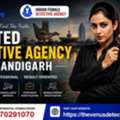 Trusted Detective Agency In Chandigarh &ndash; Professional Private Detectives | Venus Detective