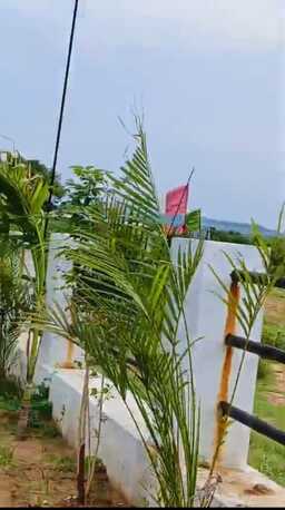 Hyderabad, Residential Plots, INR 13000,  183 Sq. Yard,  DTCP & RERA APPROVED OPEN PLOTS IN FUTURE CITY @ 9392311420