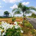 INR 10500,  146 Sq. Yard,  DTCP & RERA APPROVED OPEN PLOTS IN FUTURE CITY @ 9392311420