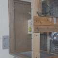 SAR 130,  For Sale 2pcs Loves Birds With Cage