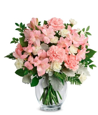 New York, Businesses For Sale, Bouquet Of Carnations | Gifts And Petals Velvet Blooms!