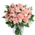 Bouquet Of Carnations | Gifts And Petals Velvet Blooms!