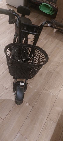 Baish, Motorcycles, SAR 800,  Bicycle Electric Bike