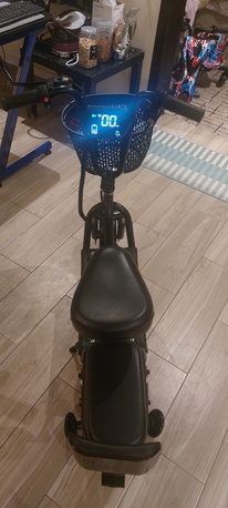 Baish, Motorcycles, SAR 800,  Bicycle Electric Bike