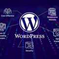 Professional WordPress Development Services By Vega Technologies LLC