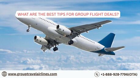 New York, Travel, What Are The Best Tips For Group Flight Deals?