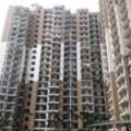 What Is The Monthly Rent For A Flat In Gardenia Glory, Sector 46, Noida?