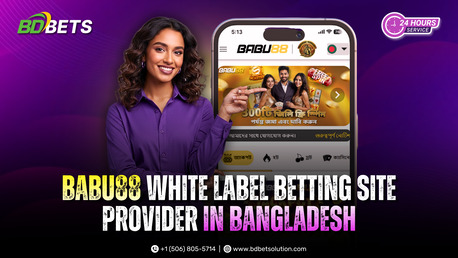Dhaka, Web Design & Development, Babu88 Betting Website Provider In Bangladesh | Bdbetsolution