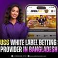 Babu88 Betting Website Provider In Bangladesh | Bdbetsolution