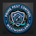 Prime Pest Control Westmoreland
