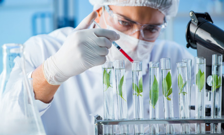 Riyadh, Jobs, Urgent Requirement: Chemical Lab Analyst