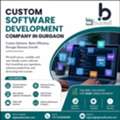 Custom Software Development Company In Gurgaon