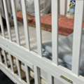 SAR 40080,  Baby Cot And Walkerer
