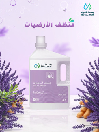 Al Shifa, Job Seekers, I Need Job Of Graphic Designer | Social Media & Product Design