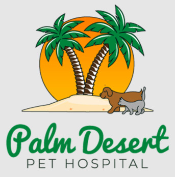 New York, Health, Palm Desert Pet Hospital