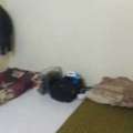 Furnished,  2 BR,  Bachelor With 2 Bedrooms
