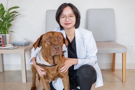 New York, Pet Sitting, The Pet Hospital Of La Mesa