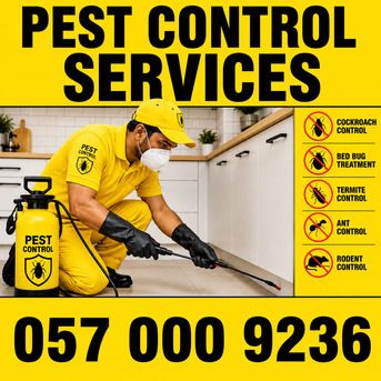 Al Malaz, Pest Control, ✅✅✅ PEST CONTROL SERVICES RIYADH – COCKROACH | BED BUG | TERMITES ✅ 057 000 9236 ✅✅✅