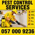 ✅✅✅ PEST CONTROL SERVICES RIYADH – COCKROACH | BED BUG | TERMITES ✅ 057 000 9236 ✅✅✅