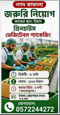 Riyadh, Jobs, Green House Cleaner & Packaging