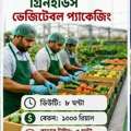 Green House Cleaner & Packaging