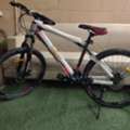 SAR 750,  Apache Mountain Cycle Size 26