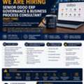 Senior Odoo ERP Governance & Business Process Consultant (Part-Time)
