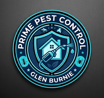 New York, Business, Prime Pest Control Glen Burnie