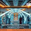 Experienced Deceased Donor Liver Transplant Care In India
