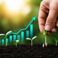 Agriculture Growth Strategy Consulting