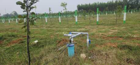 Chennai, Real Estate For Sale, INR 1990000,  10000 Sq. Feet,  Farm Land With 40 Fruit Trees, Fenced, 24/7 Security Gated