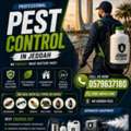 🏡🚫 Say Goodbye To Pests In Al Rawdah! | Same-Day Service ✅