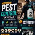 🛡️✨ Best Pest Control In Al Zahra | Protect Your Home Today!