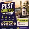 🐜🔥 Professional Pest Control In Al Salamah | 100% Reliable Service