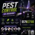 🌟🐛 Affordable Pest Control In Al Naeem | Fast & Guaranteed