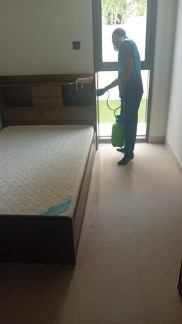 Dubai, Pest Control, Low Cost Pest Control Near Me Dubai | Mr. Pest Dubai |