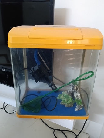 East Riffa, Materials, BHD 10,  Small Table Top Aquarium/ Fish Tank