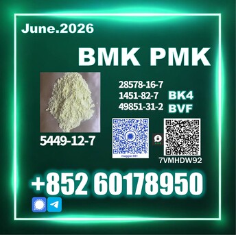 Berlin, Materials, Usd 170,  New BMK CAS 5449-12-7 PM.K Long-term Cooperation
