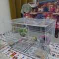 Pet Sitting Service Available He.
