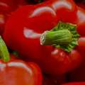 Premium Paprika Supplier In USA For Bulk And Commercial Spice Needs