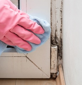 New York, Construction, 770 Water Damage & Restoration